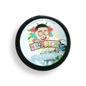 Mr. Pouch Ice Cool - cutie produs