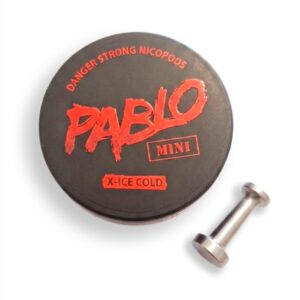 Pablo Mini X Ice Cold - pliculete nicotina